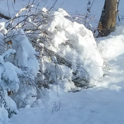 Park «Grover Cleveland Park», reviews and photos, Brookside Ave & Runnymede Rd, Essex Fells, NJ 07021, USA