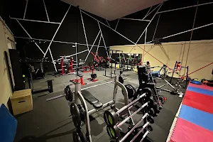 Animal Gym image