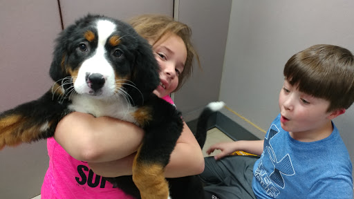 Pet Store «Petland», reviews and photos, 920 Hebron Rd, Heath, OH 43056, USA