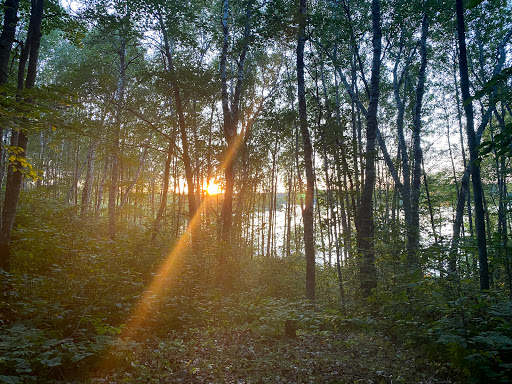 Bicycle Store «Seven Spokes Bike Shop», reviews and photos, 1044 Cleveland Ave S, St Paul, MN 55116, USA