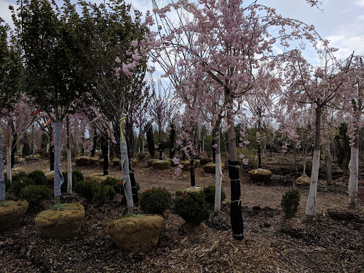 Lawn Mower Store «Central Jersey Nurseries Mower», reviews and photos, 18 Hamilton Rd, Hillsborough Township, NJ 08844, USA