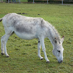 Photo n°3 de l'avis de Nadja.o fait le 17/08/2021 à 09:54 sur le  Hofgut Domäne GmbH à Hechingen