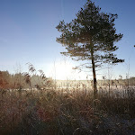Photo n°4 de l'avis de Ingo.i fait le 25/12/2017 à 10:26 sur le  Allgäu-Hotel-Elbsee à Aitrang