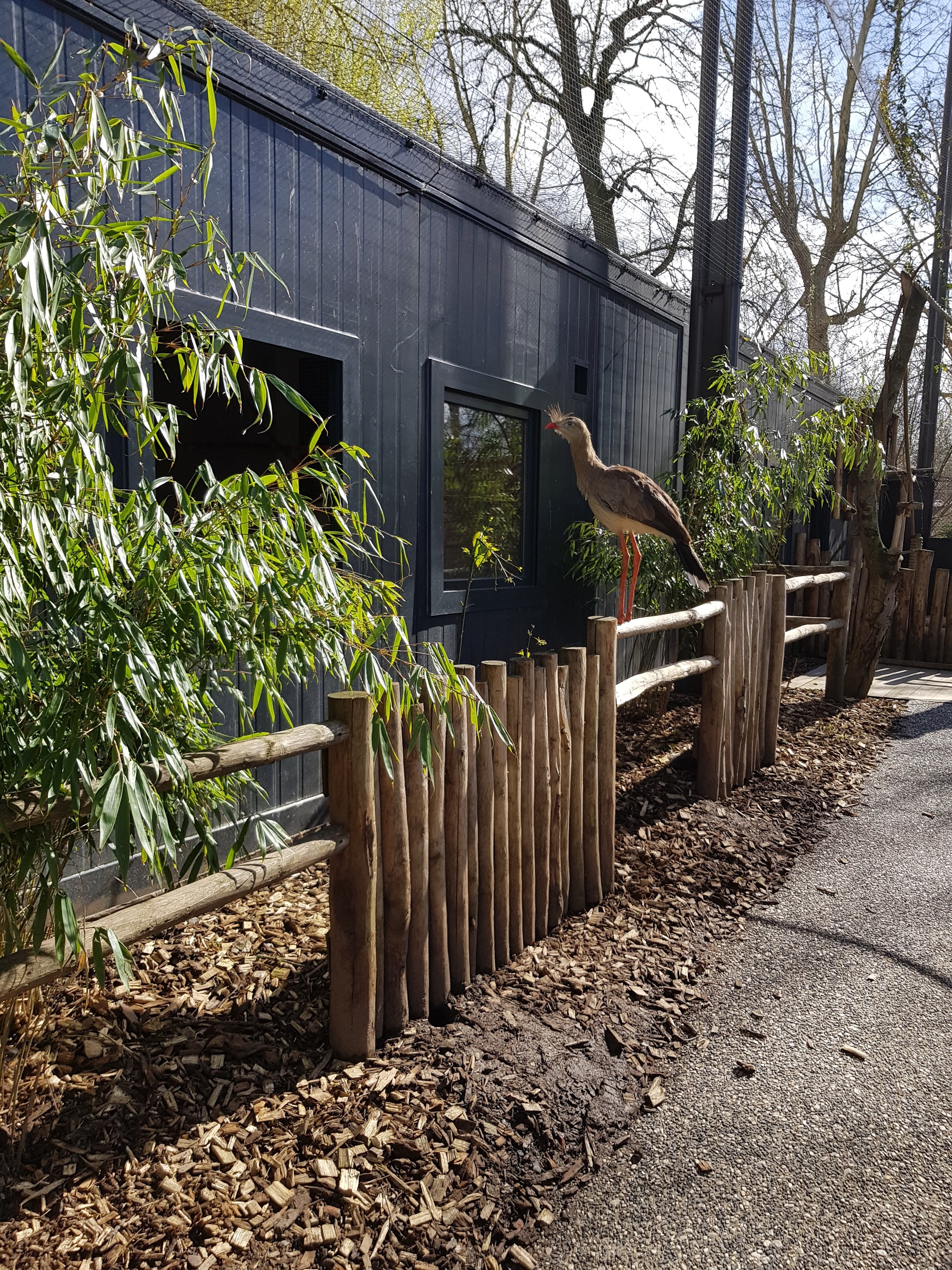 Photo n° 2 de l'avis de Charbel.l fait le 17/03/2019 à 23:45