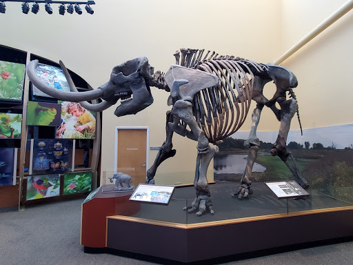 Natural History Museum «Florida Museum of Natural History», reviews and photos, 3215 Hull Rd, Gainesville, FL 32611, USA