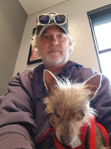 Cats & Dogs Animal Hospital image