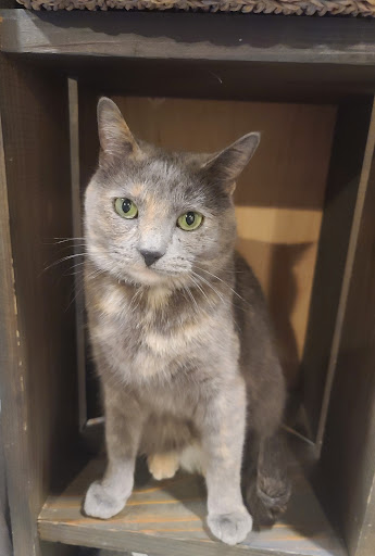 Pet Supply Store «PetSmart», reviews and photos, 1100 W 78th St, Richfield, MN 55423, USA