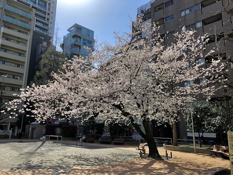 網代公園