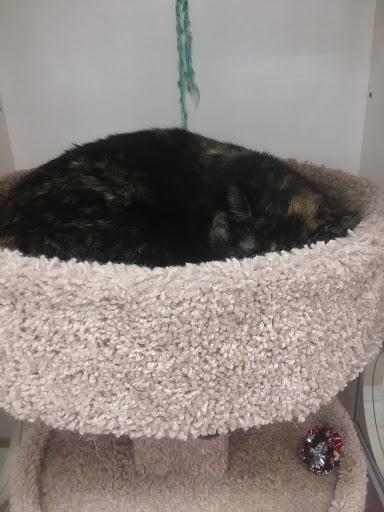 Pet Supply Store «Petco Animal Supplies», reviews and photos, 2520 E 3rd St, Bloomington, IN 47401, USA