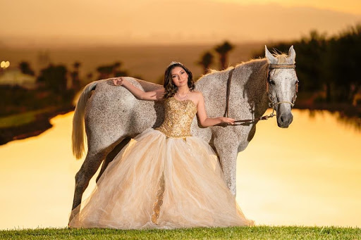 Vegas Wedding Horses