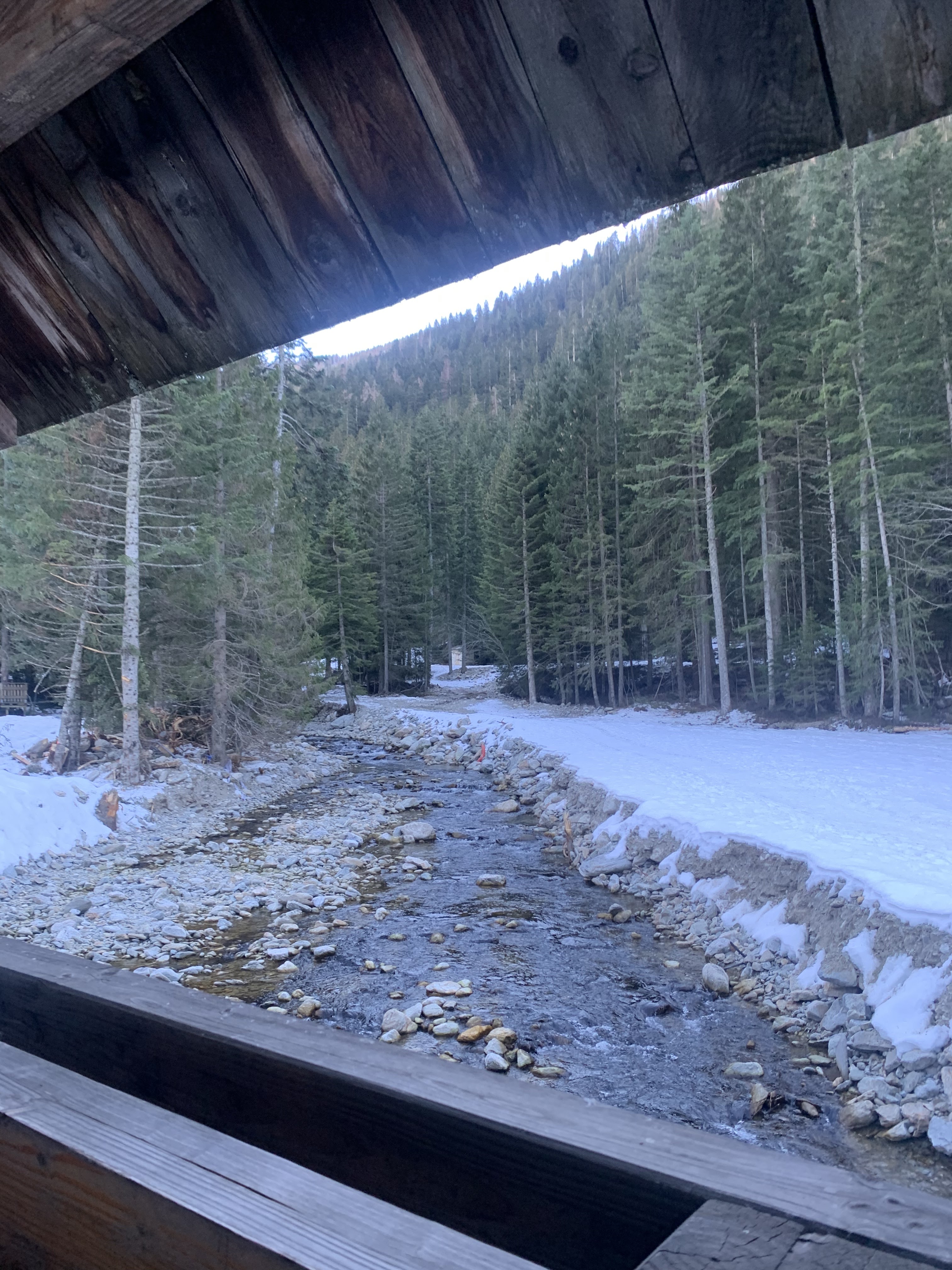 Photo n° 1 de l'avis de Montoya.e fait le 05/01/2024 à 16:00