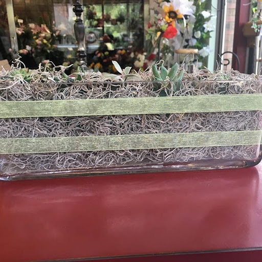 Florist «Alexs East End Floral Shoppe», reviews and photos, 236 Shady Ave, Pittsburgh, PA 15206, USA