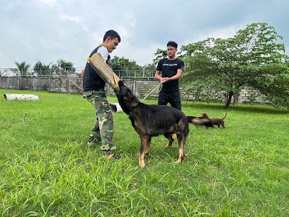 Trung tâm huấn luyện chó cảnh,chó nghiệp vụ Thiên Khuyển 2
