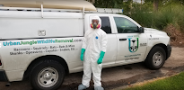 Urban Jungle Wildlife Removal - Photo 2 - Car repair in , Houston