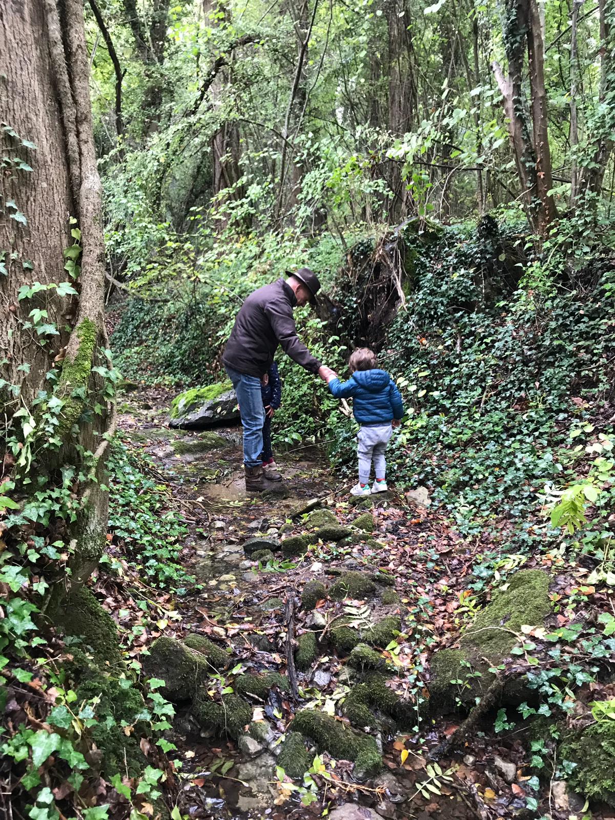 Photo n° 1 de l'avis de Julius.m fait le 24/11/2019 à 20:47