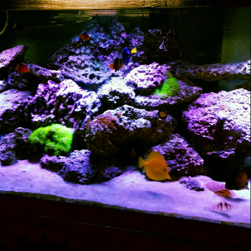 Pet Store «Fish Geeks», reviews and photos, 5845 Hillside Ln, Mechanicsburg, PA 17050, USA