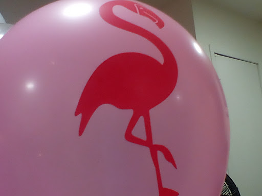 Day Care Center «Audrey Johnson Day Care Center», reviews and photos, 272 Moffat St, Brooklyn, NY 11207, USA