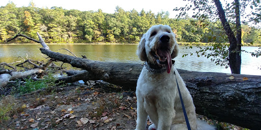 Park «Vietnam Veterans Park», reviews and photos, Treble Cove Rd, Billerica, MA 01821, USA