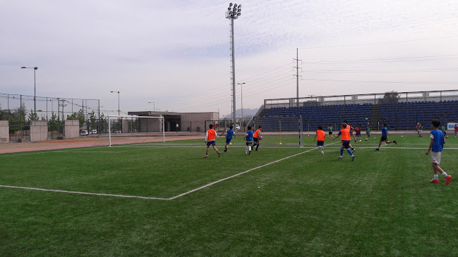Opiniones de Estadio Municipal Arturo Vidal en San Joaquín - Campo de fútbol