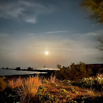 Photo n°2 de l'avis de Marin.a fait le 06/07/2017 à 15:54 sur le  Macondo Alberoni à Alberoni