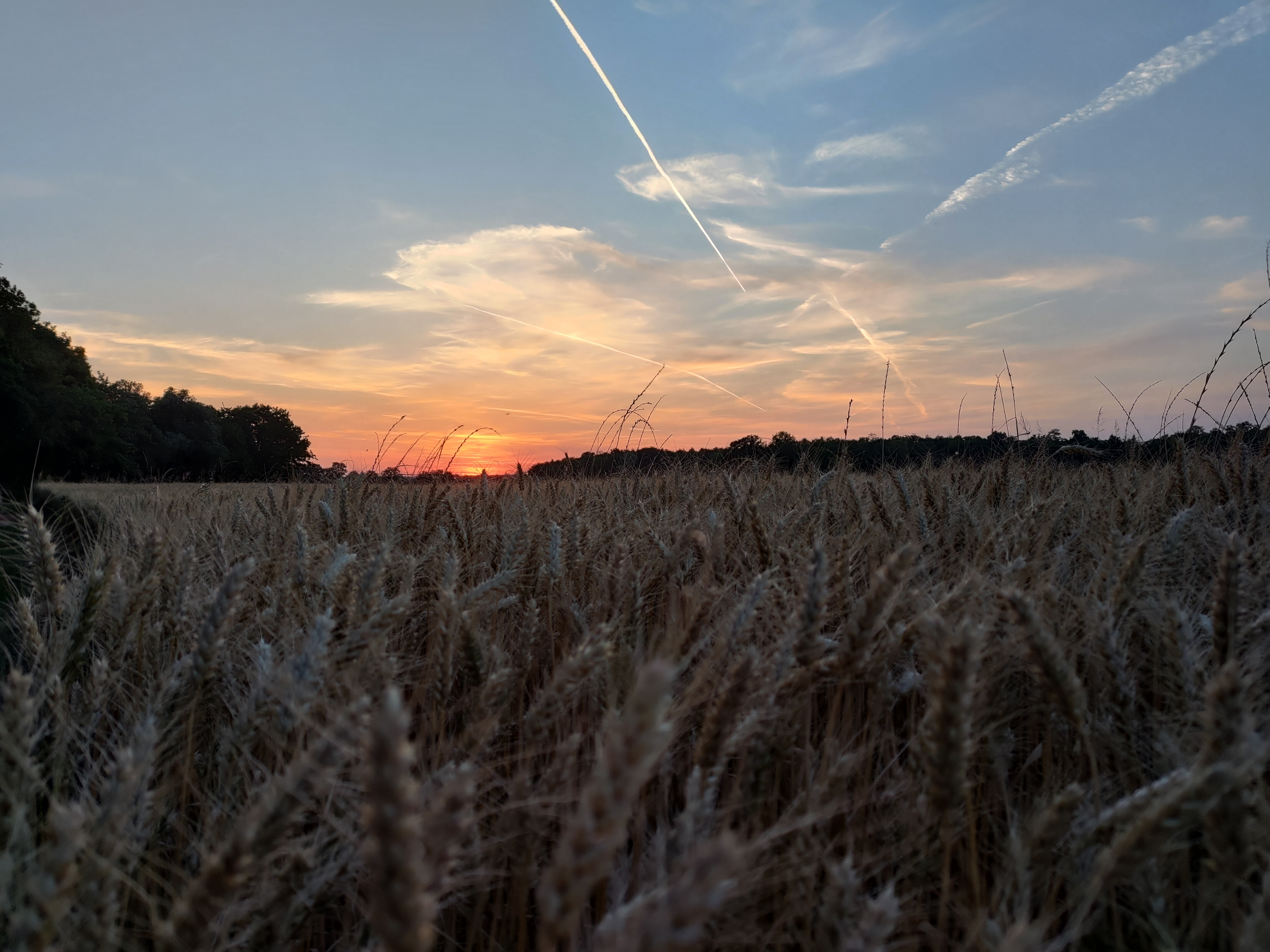 Photo n° 1 de l'avis de loic.a fait le 30/06/2022 à 21:29