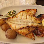 Photo n°1 de l'avis de Paulo.a fait le 17/07/2023 à 22:13 sur le  Zé Maria à Faro