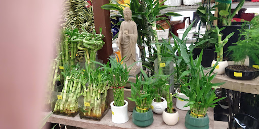 Garden Center «International Garden and Floral Design Center», reviews and photos, 155 N Sepulveda Blvd, El Segundo, CA 90245, USA