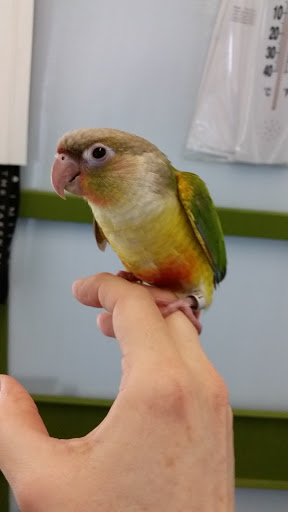 Pet Supply Store «Petco Animal Supplies», reviews and photos, 5631 Grove Blvd, Hoover, AL 35226, USA