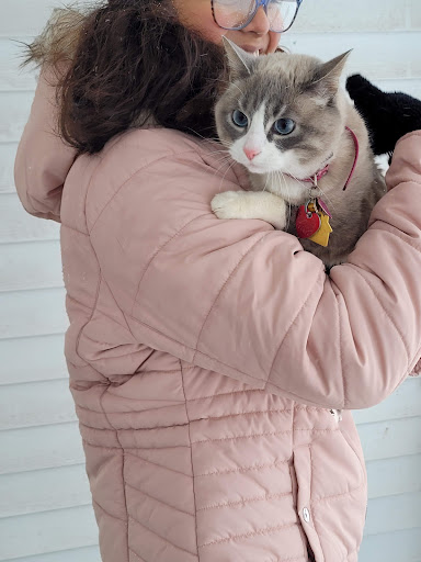 Pet Supply Store «Pet Supplies Plus», reviews and photos, 311 Sagamore Pkwy N, Lafayette, IN 47904, USA