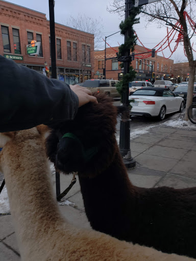 Toy Store «Great Rocky Mountain Toy Co», reviews and photos, 111 E Main St, Bozeman, MT 59715, USA