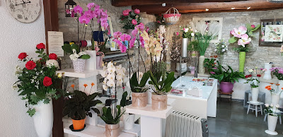 Orlandi Fleurs à Besançon