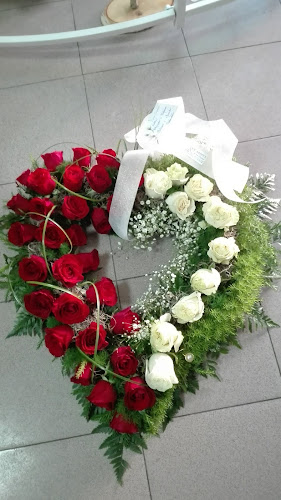Ricardo's Flores - Floricultura