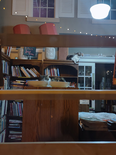 Used Book Store «Snowball Bookshop», reviews and photos, 564 W Tuscarawas Ave # 102, Barberton, OH 44203, USA