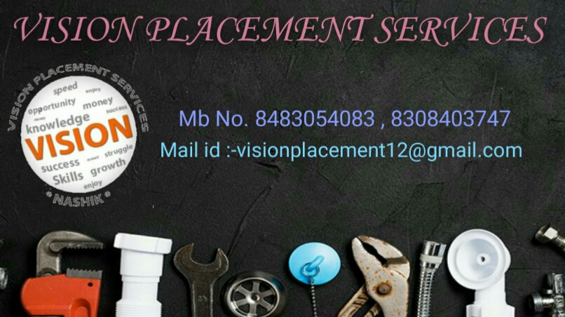 VISION PLACEMENT SERVICES