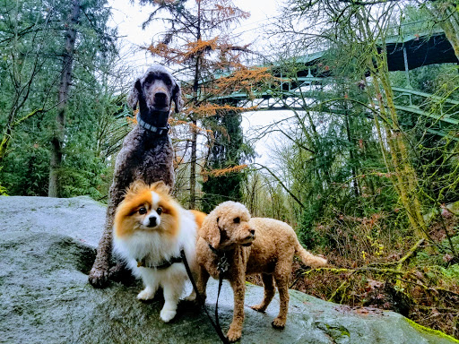 Park «Ravenna Park», reviews and photos, 5520 Ravenna Ave NE, Seattle, WA 98105, USA