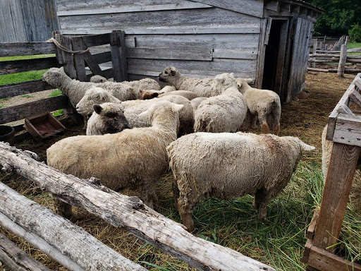 History Museum «OIiver Kelley Farm», reviews and photos, 15788 Kelly Farm Rd NW, Elk River, MN 55330, USA