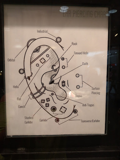 Explore tattoo ideas for female sleeve, creative tattoo ideas in Dayton, available at Body Jewel