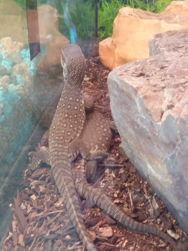 Pet Store «Wet Pets N Critters», reviews and photos, 103 TX-281 Loop, Longview, TX 75605, USA