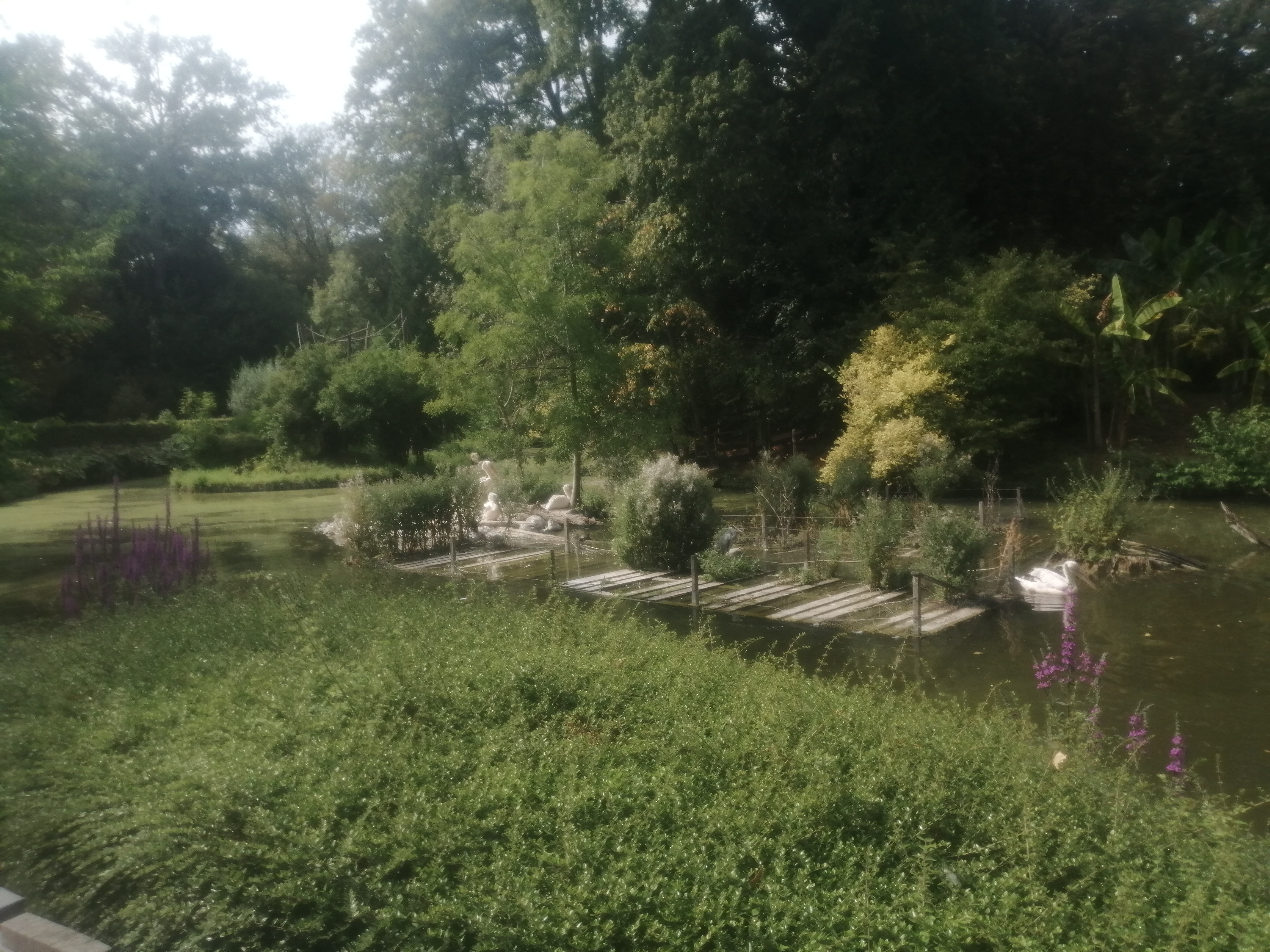 Photo n° 14 de l'avis de Paul.o fait le 08/08/2020 à 16:49