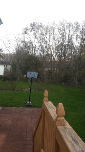 Park «Garfield Park», reviews and photos, Garfield St, Lexington, MA 02421, USA