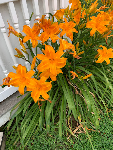 Farm «Alstede Farms», reviews and photos, 1 Alstede Farms Ln, Chester, NJ 07930, USA