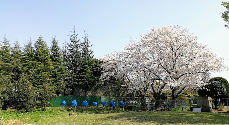 千葉県立柏中央高等学校