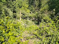 Phillips 4 Seasons Tree Services & Landscaping - Photo 8 - Car repair in Cincinnati, OH, Cincinnati