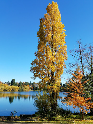 Park «Green Lake Park», reviews and photos, 7201 East Green Lake Dr N, Seattle, WA 98115, USA