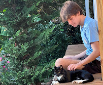 Mountain View Pet Care, LLC - Photo 2 - Car repair in , Hickory