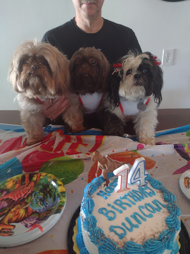 Pet Supply Store «Pet Supplies Plus», reviews and photos, 26230 Hoover Rd, Warren, MI 48089, USA