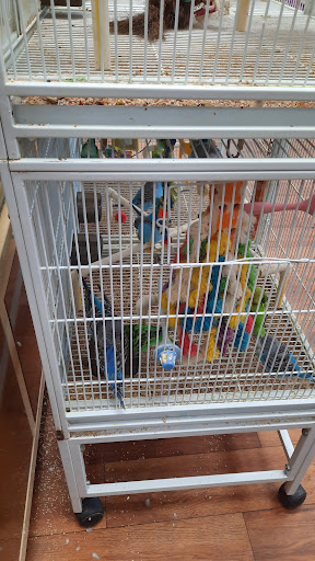 Pet Supply Store «Pet Supermarket», reviews and photos, 1800 W 68th St #140, Hialeah, FL 33014, USA