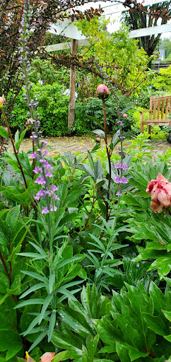 Grocery Store «Roche Harbor Grocery Store», reviews and photos, 248 Reuben Memorial Dr, Friday Harbor, WA 98250, USA