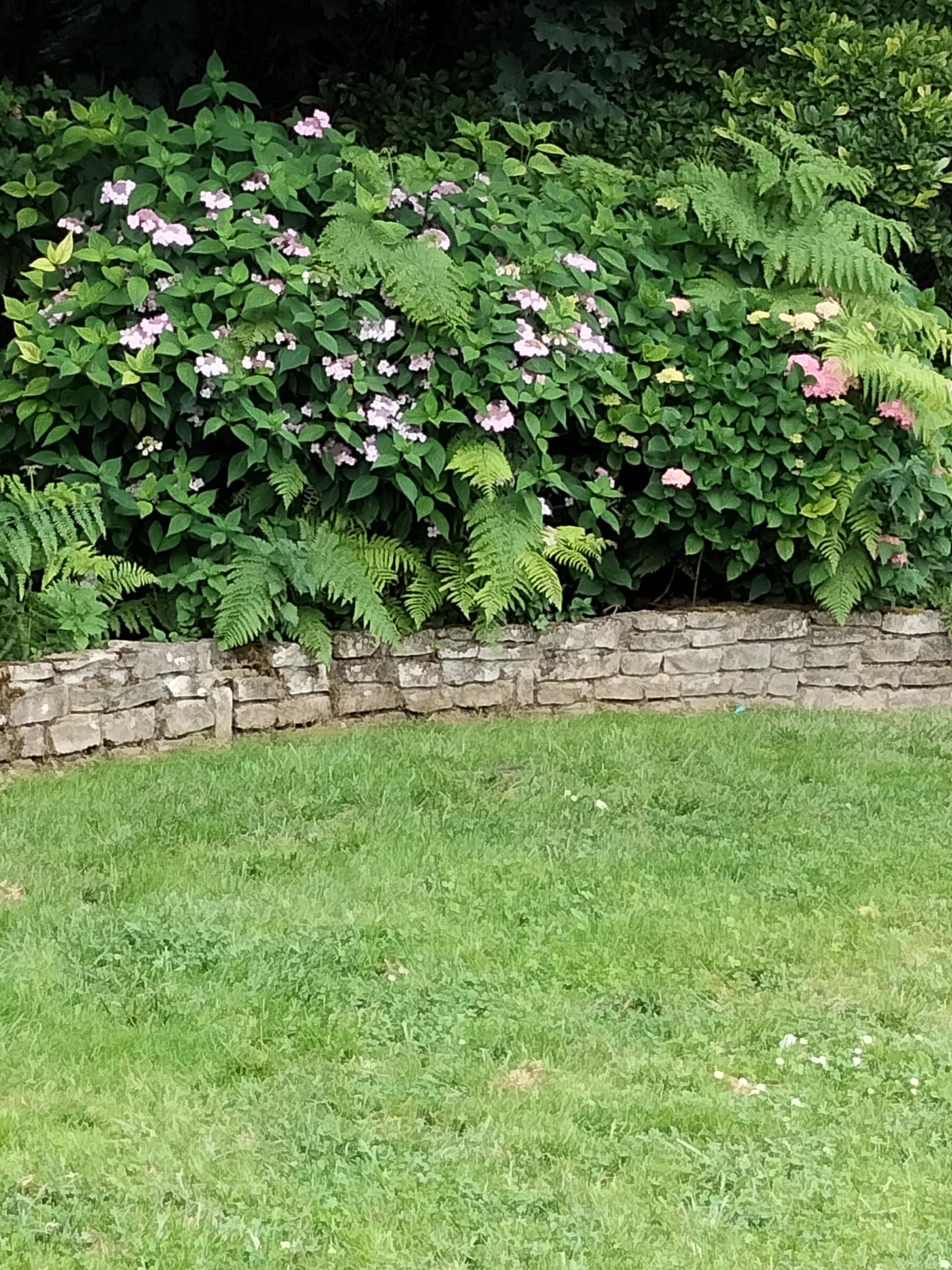 Photo n° 6 de l'avis de Béa. fait le 26/06/2022 à 17:04