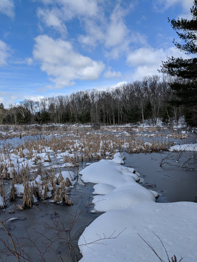 State Park «Lowell-Dracut-Tyngsborough State Forest», reviews and photos, Trotting Park Rd, Dracut, MA 01826, USA